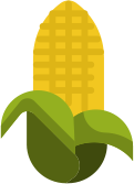 Debuenaraiz