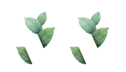 Debuenaraiz